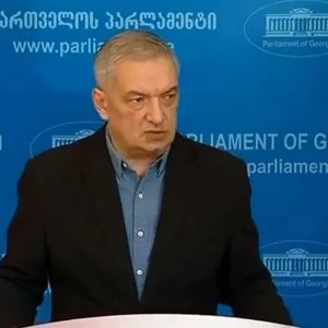 გია ვოლსკი: განსაკუთრებით გამაოგნა, რომ ღარიბაშვილი დაშვებას აკეთებს, რომ მის ოჯახს შეიძლება რაიმე დაემუქროს. ეს პირდაპირ მცდელობაა ხელისუფლების დისკრედიტაციის